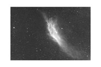 First Light Nc124 California Nebula